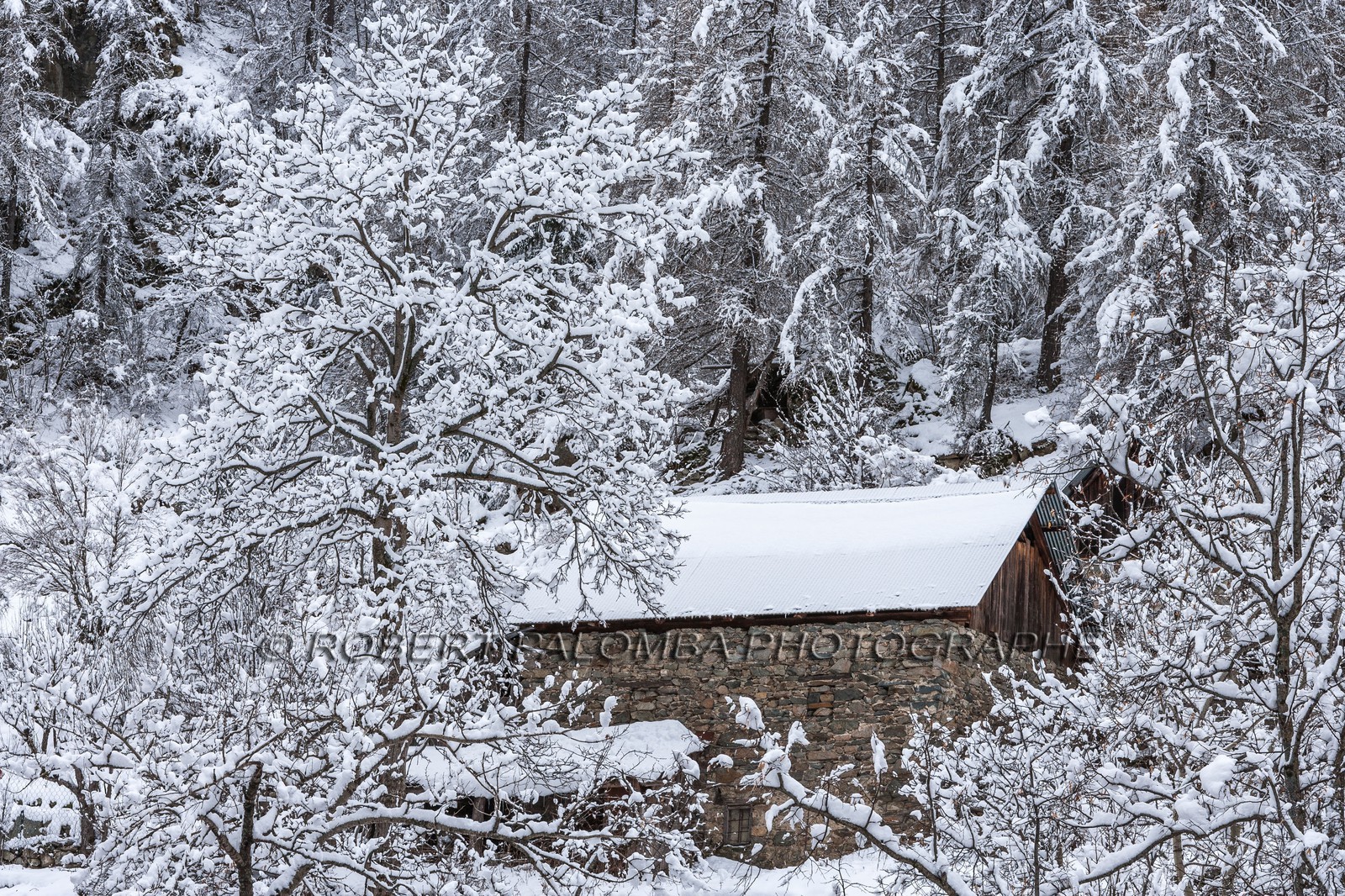 Saint-Dalmas-le-Selvage