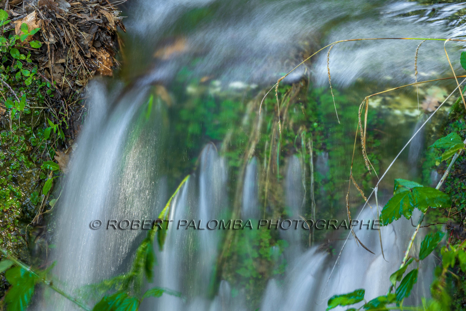 Royal Mougins Golf Resort