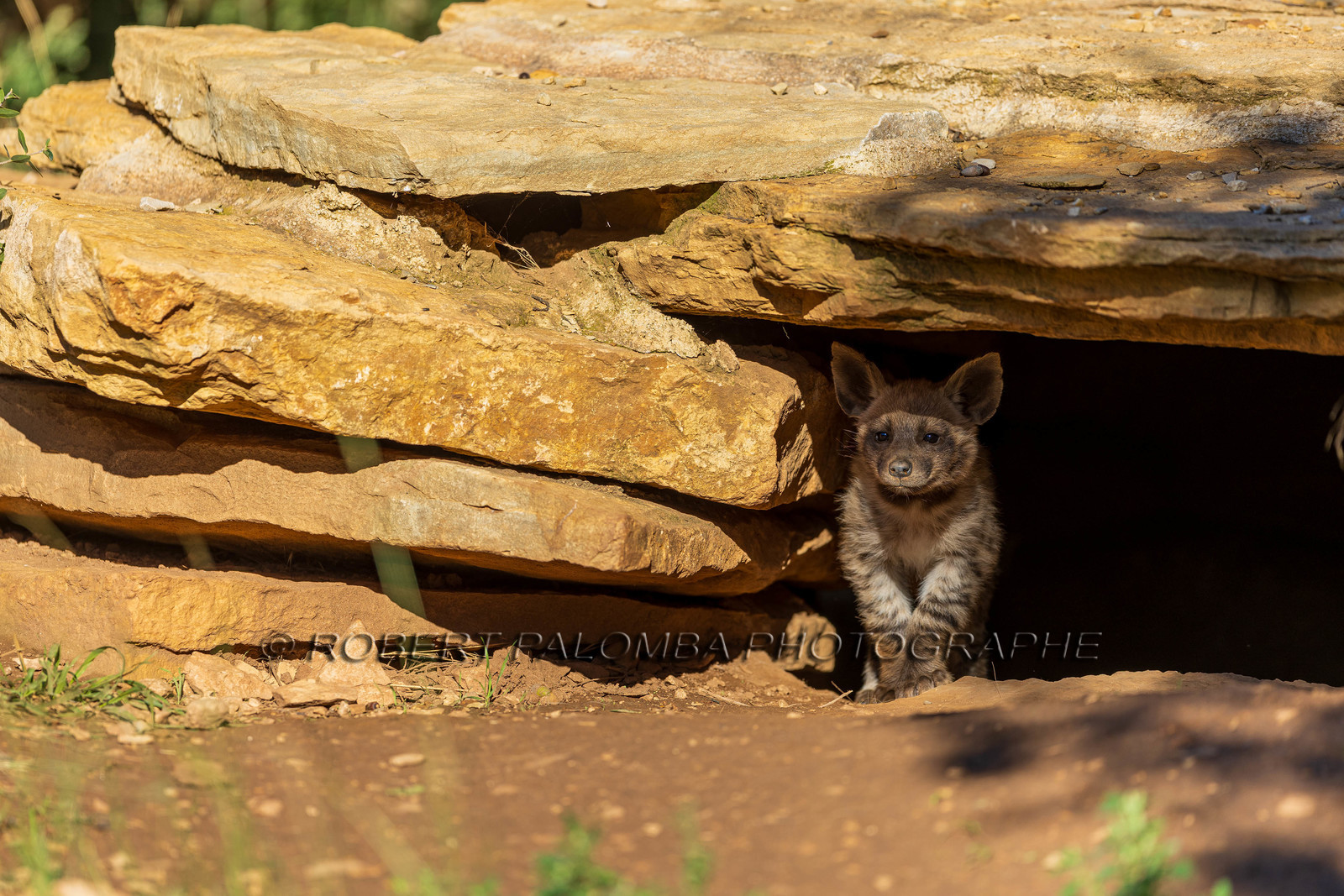 Parc animalier de la Barben