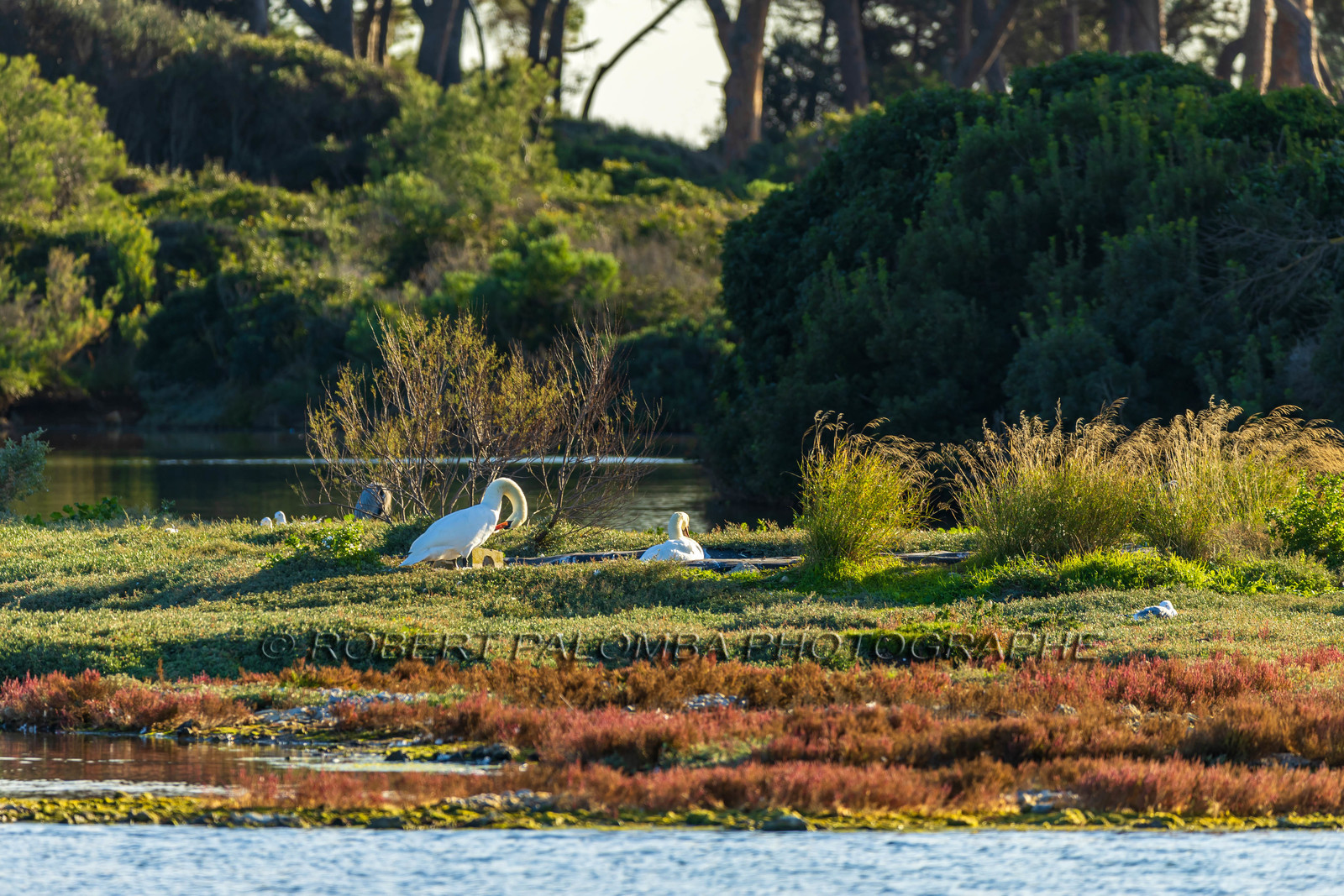 Lérins Sainte-Marguerite 2024