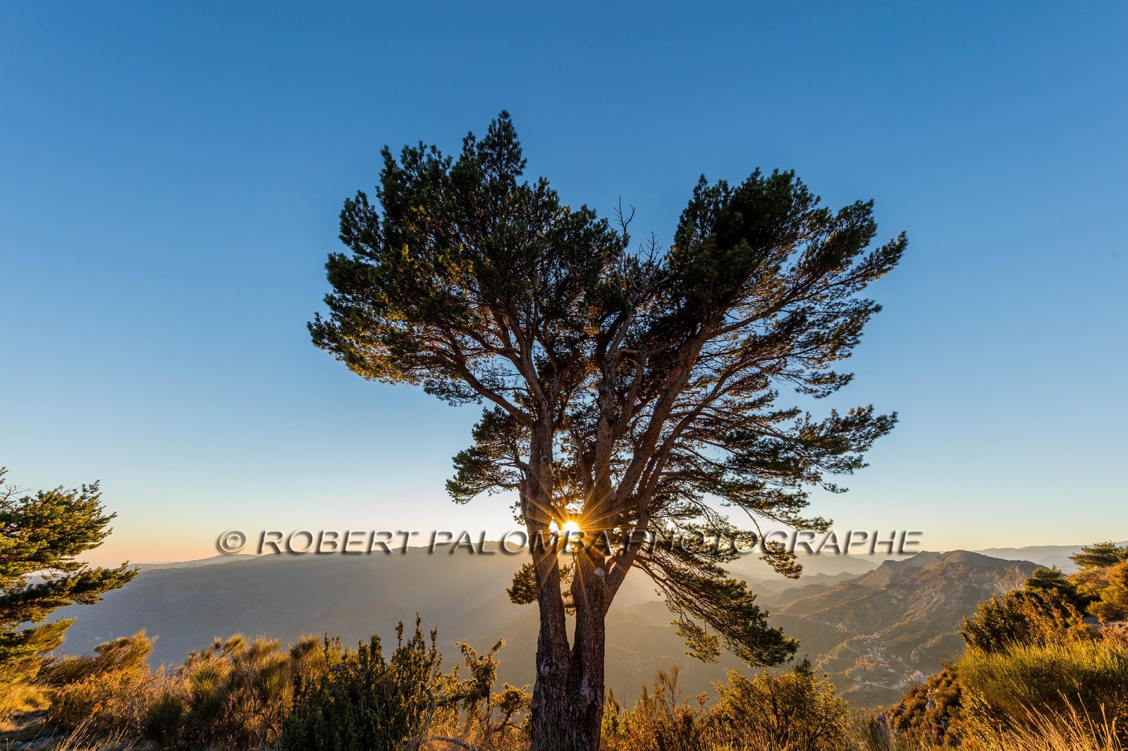 Toudon vu du Mont Vial