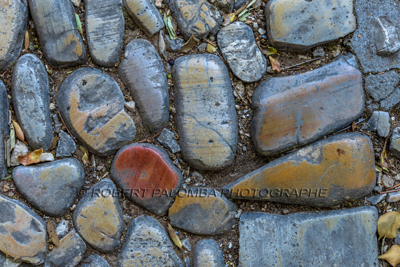 Lérins Sainte-Marguerite 2023