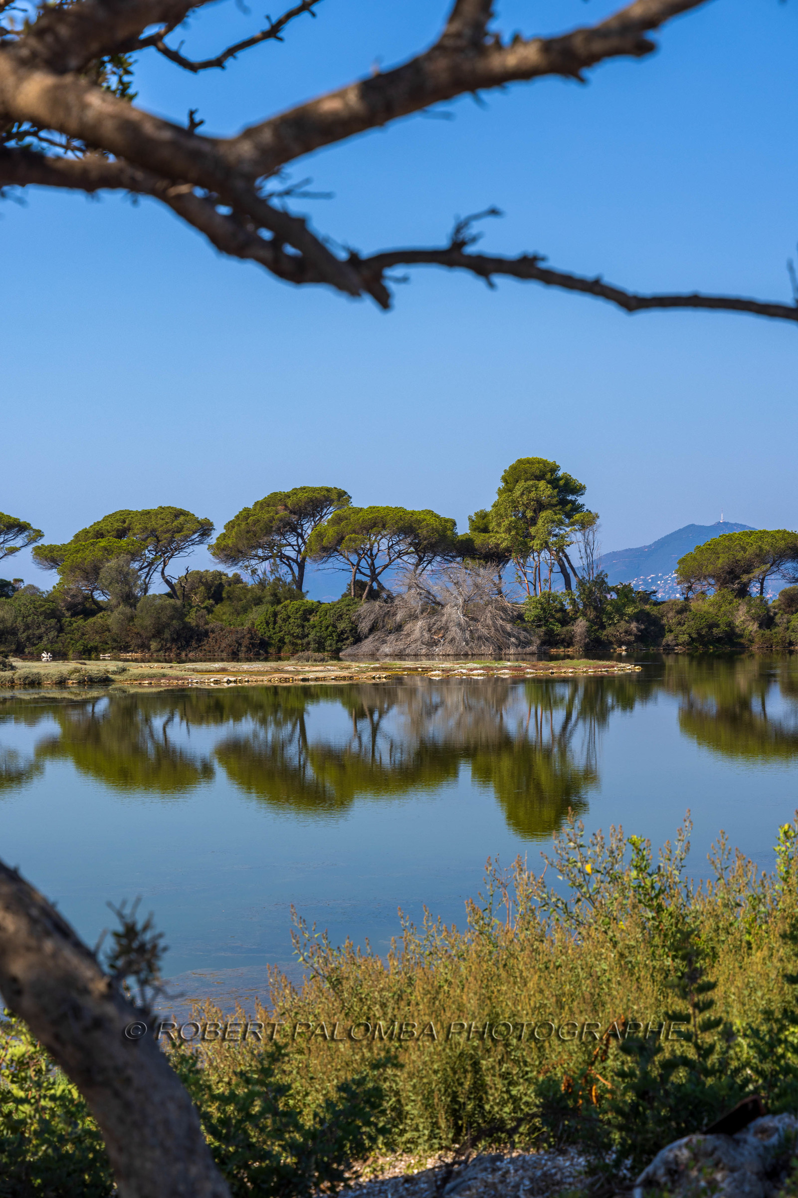 Lérins Sainte-Marguerite 2023