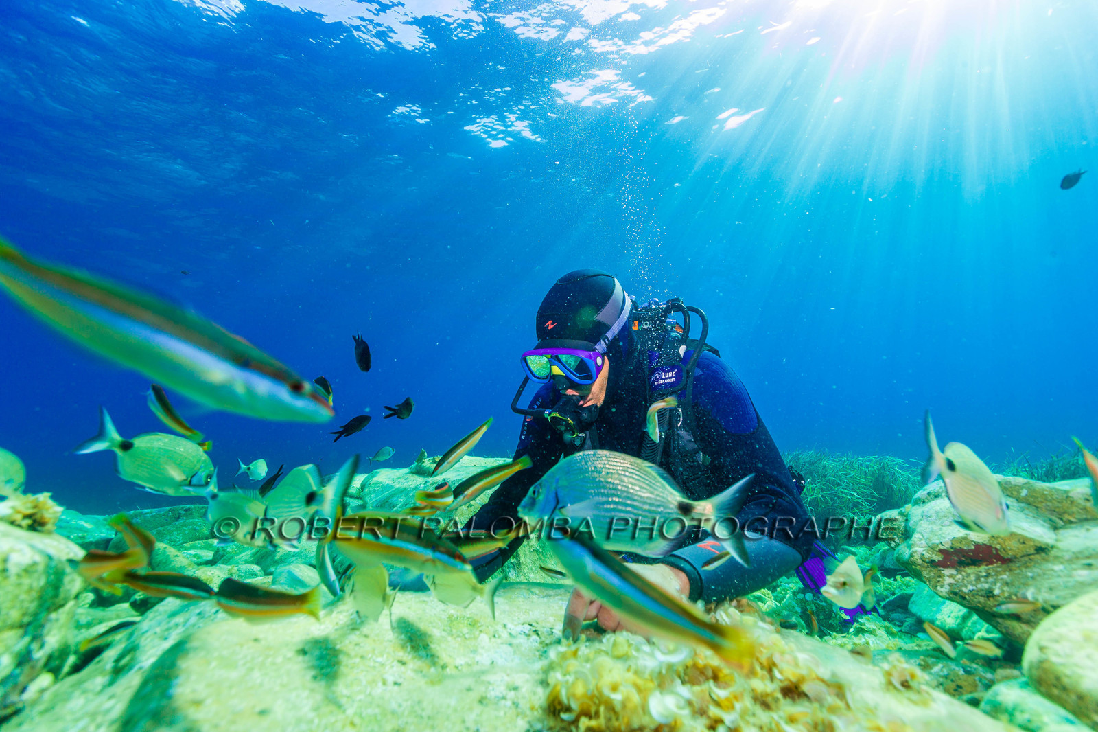 Plongée-sous-marine