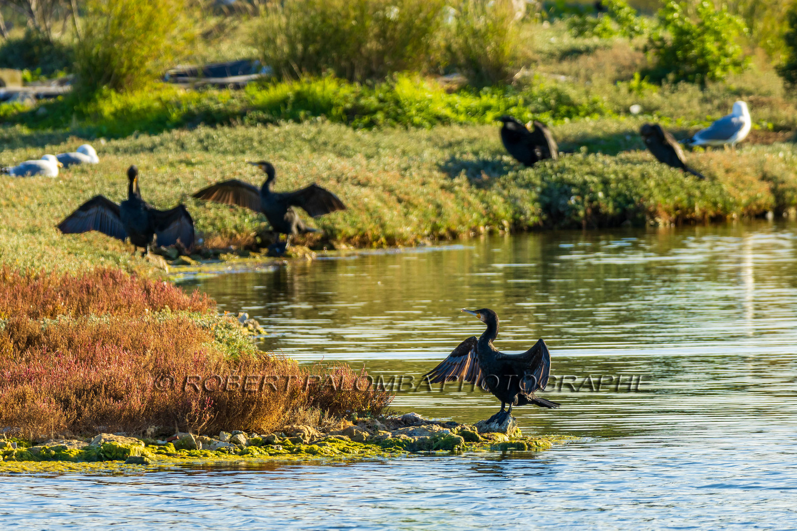 Lérins Sainte-Marguerite 2024