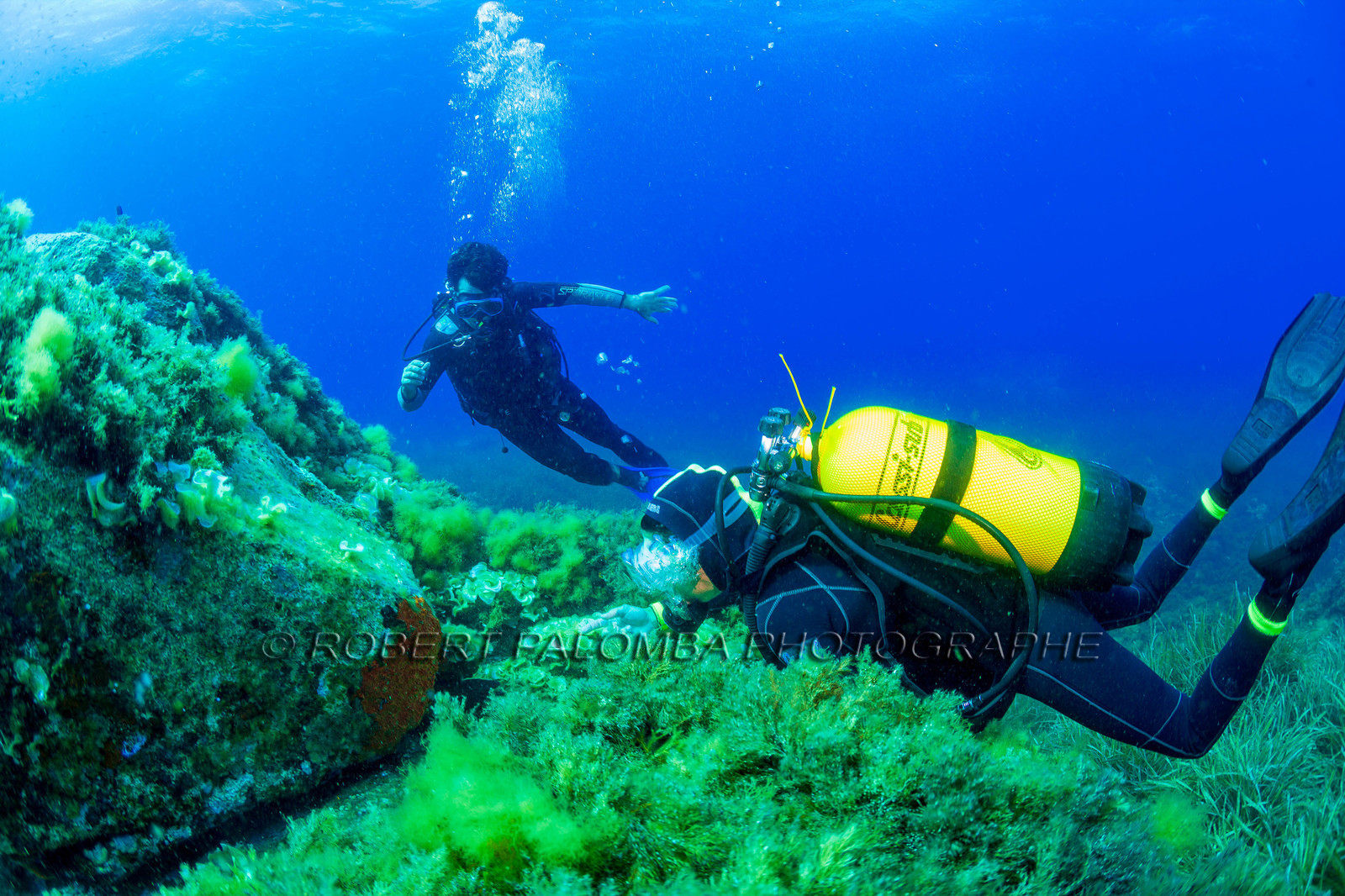 Plongée-sous-marine