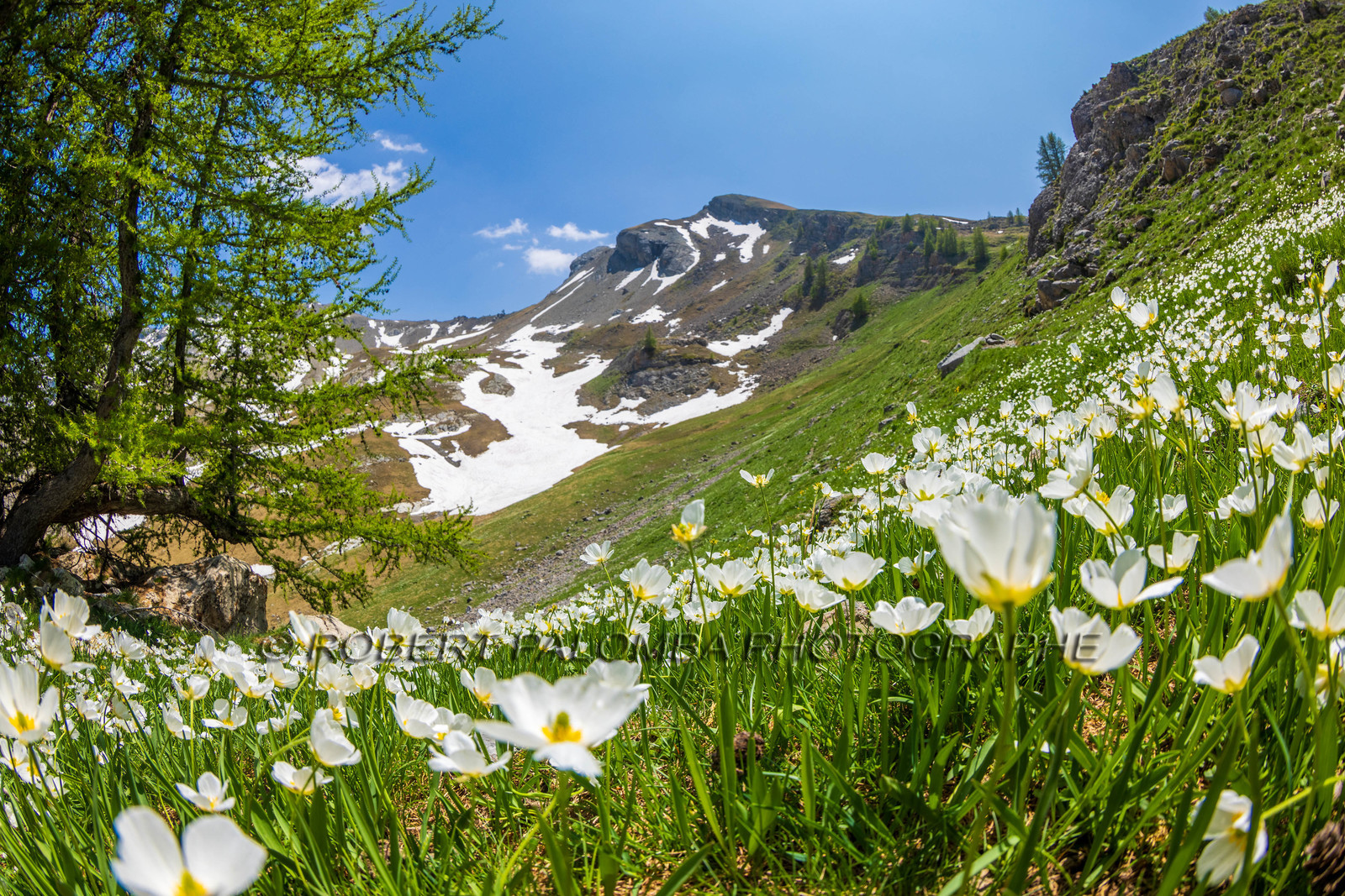 Lac d'Allos