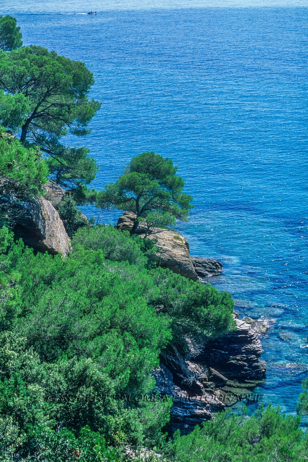 Rayol-Canadel-sur-Mer