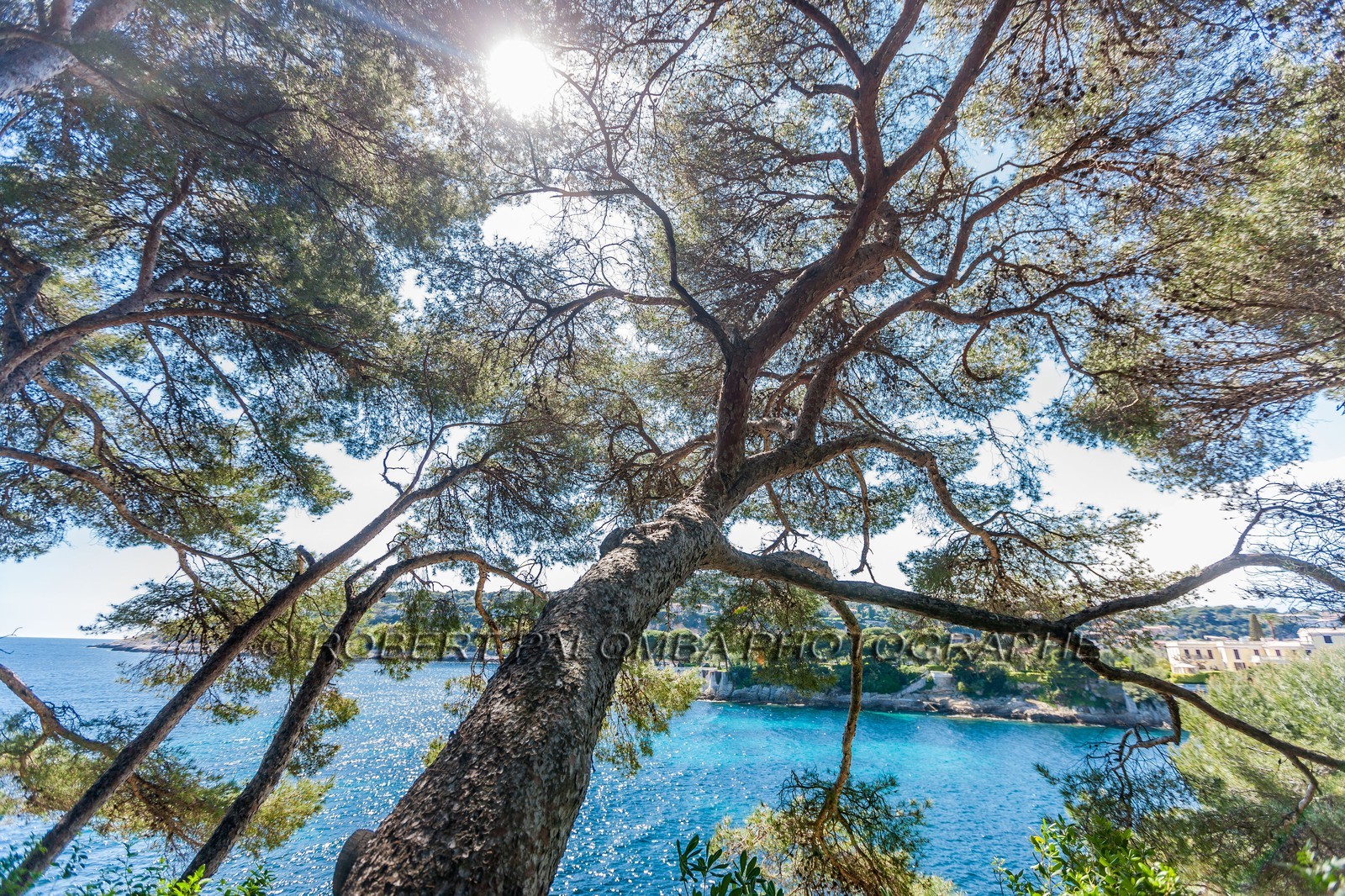 .Saint-Jean-Cap-Ferrat