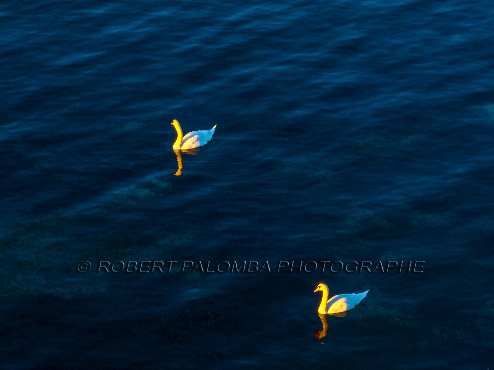 Lérins Sainte Marguerite 2024