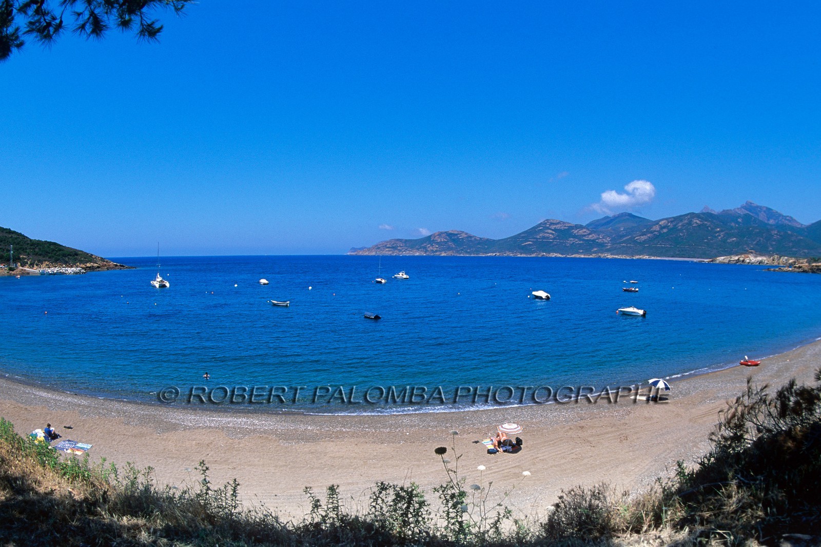 e mail robert.palomba@wanadoo.fr