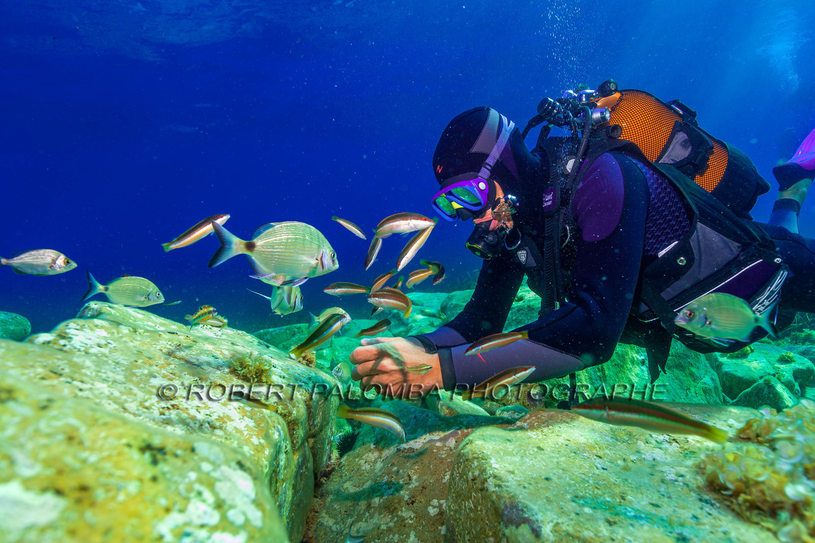Plongée-sous-marine