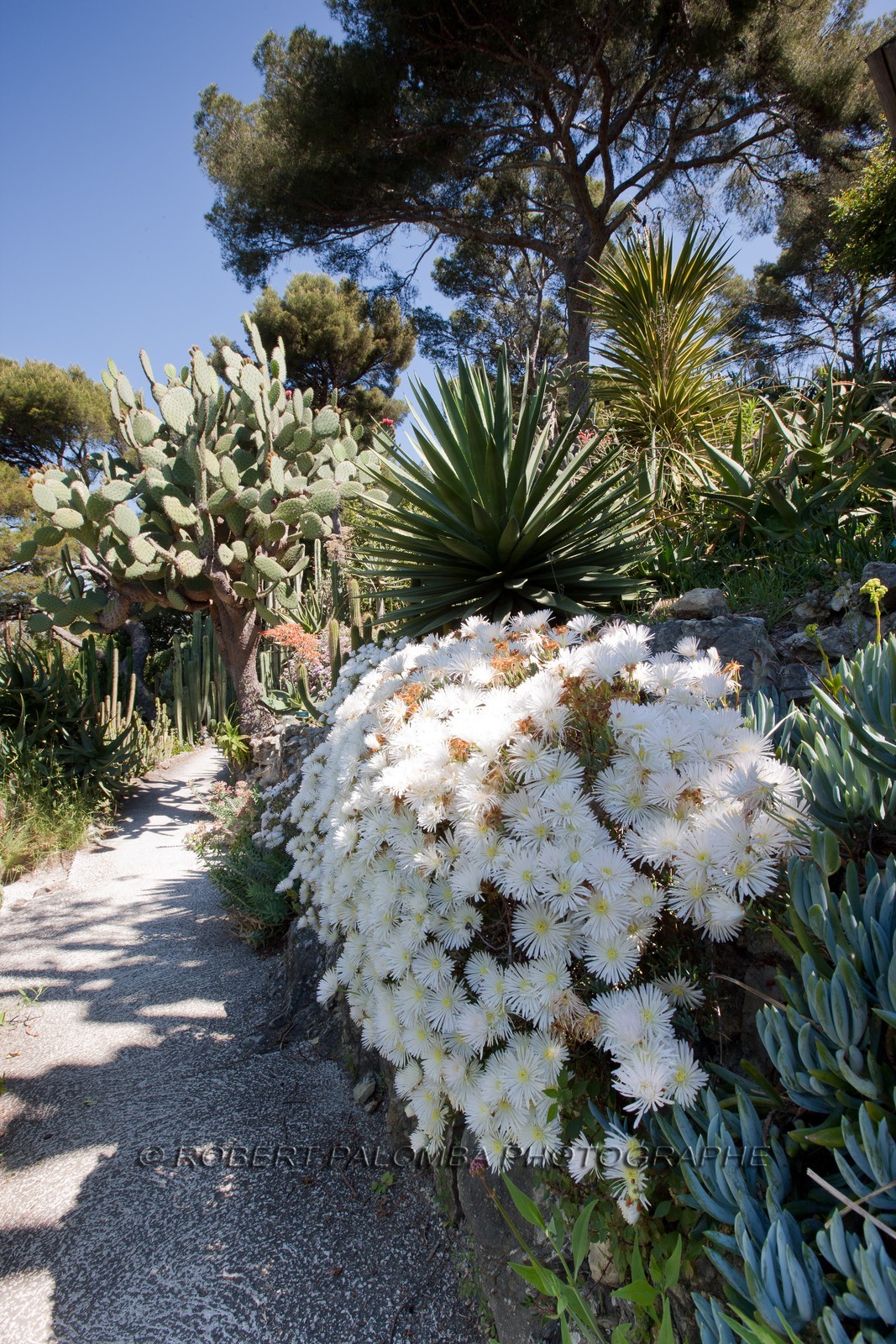 Villa et Jardins Ephrussi de Rothschild