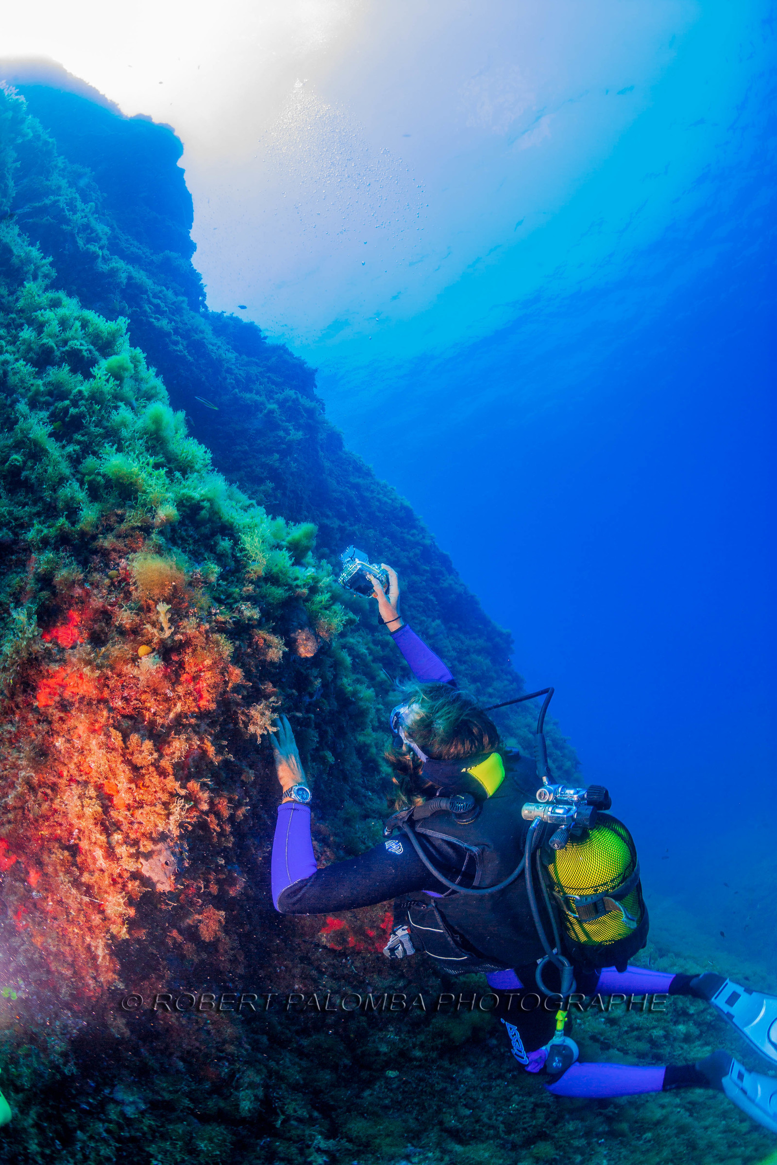 Plongée-sous-marine