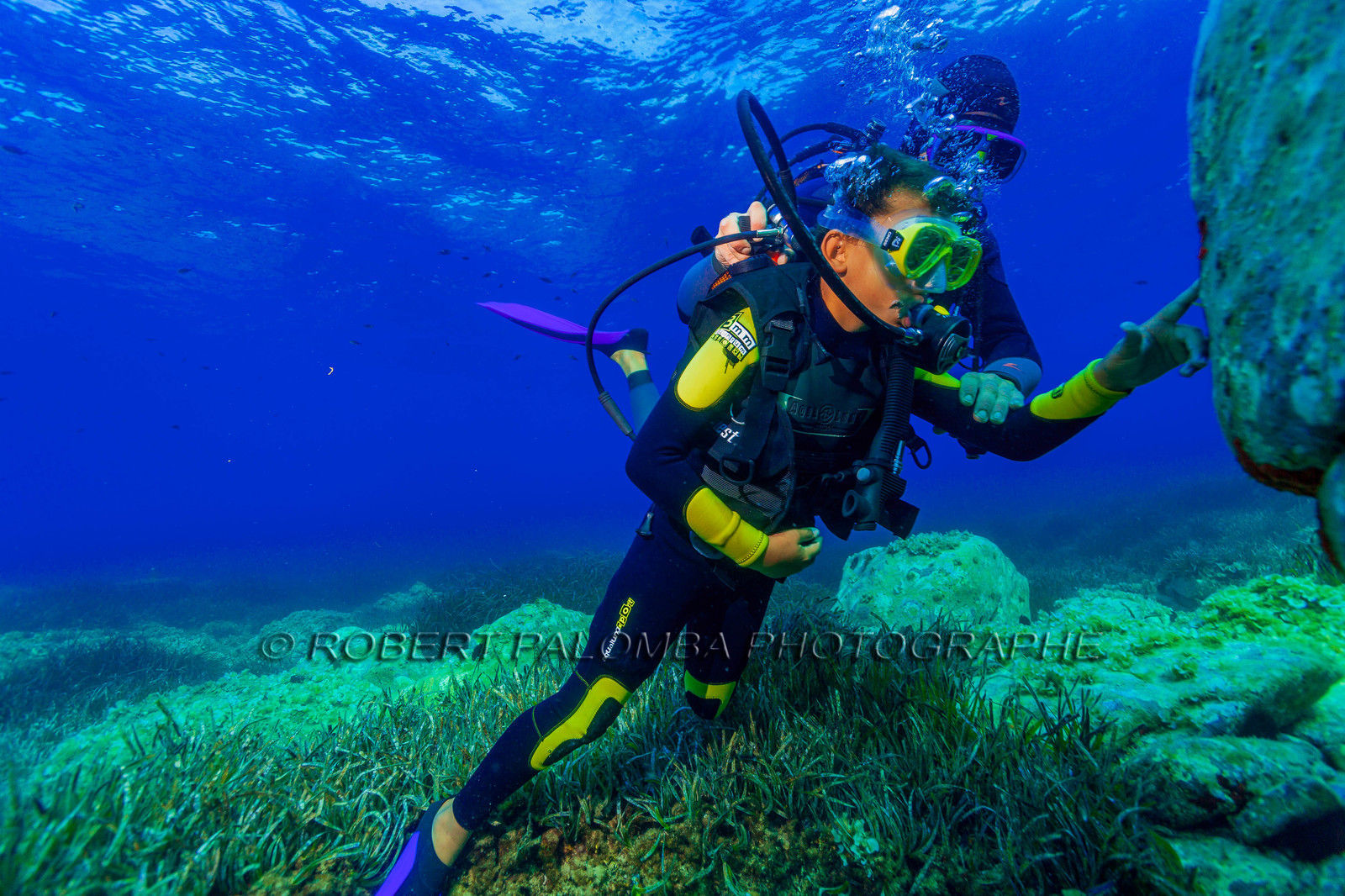 Plongée-sous-marine