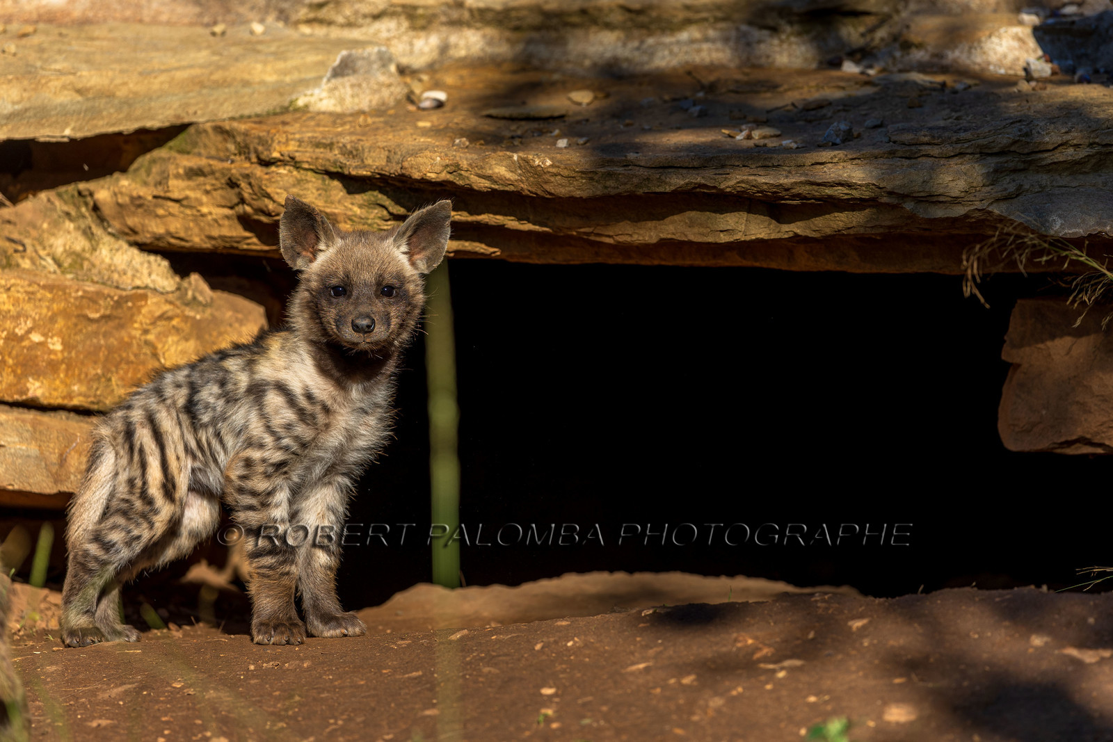 Parc animalier de la Barben