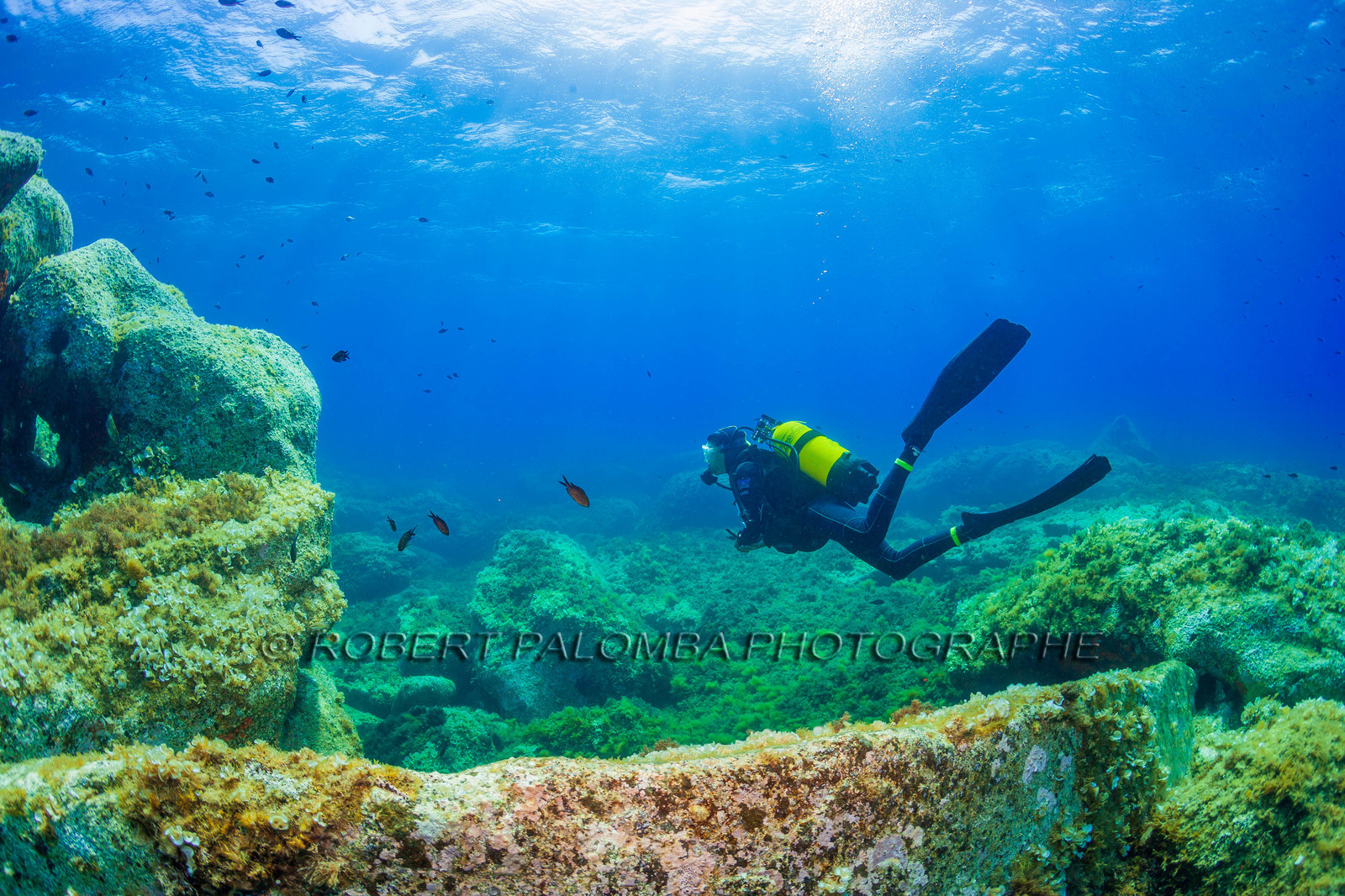 Plongée-sous-marine