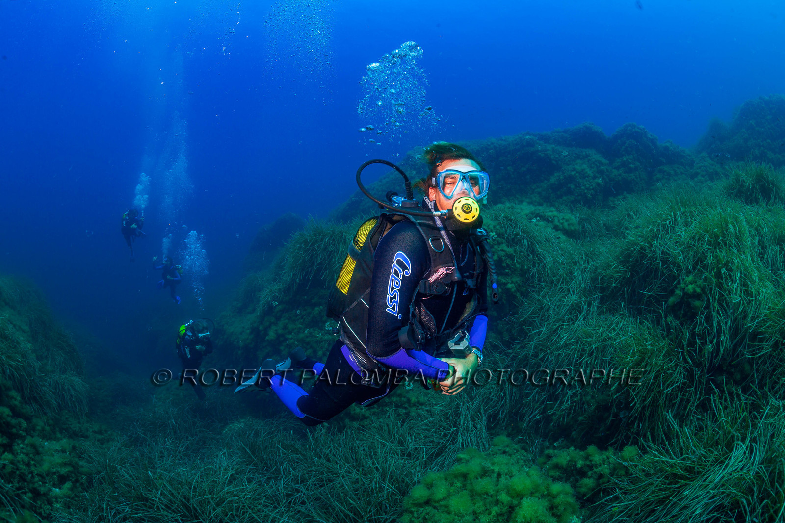 Plongée-sous-marine