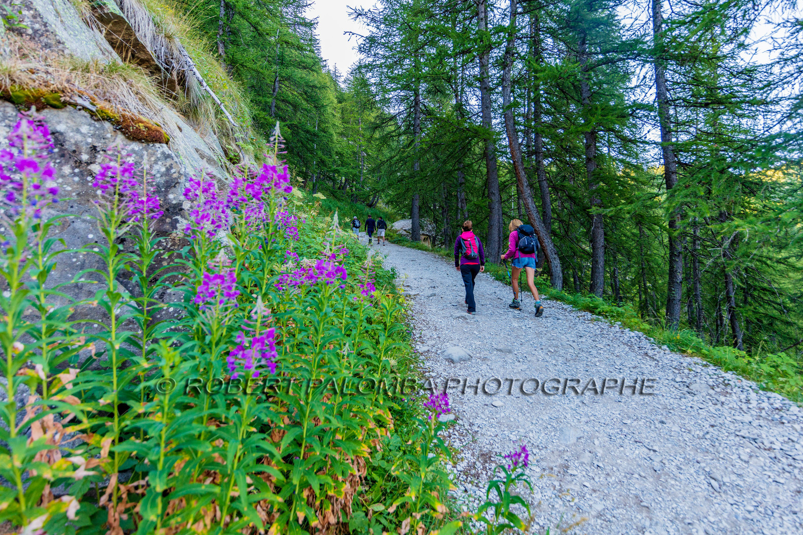 Rando des trois lacs