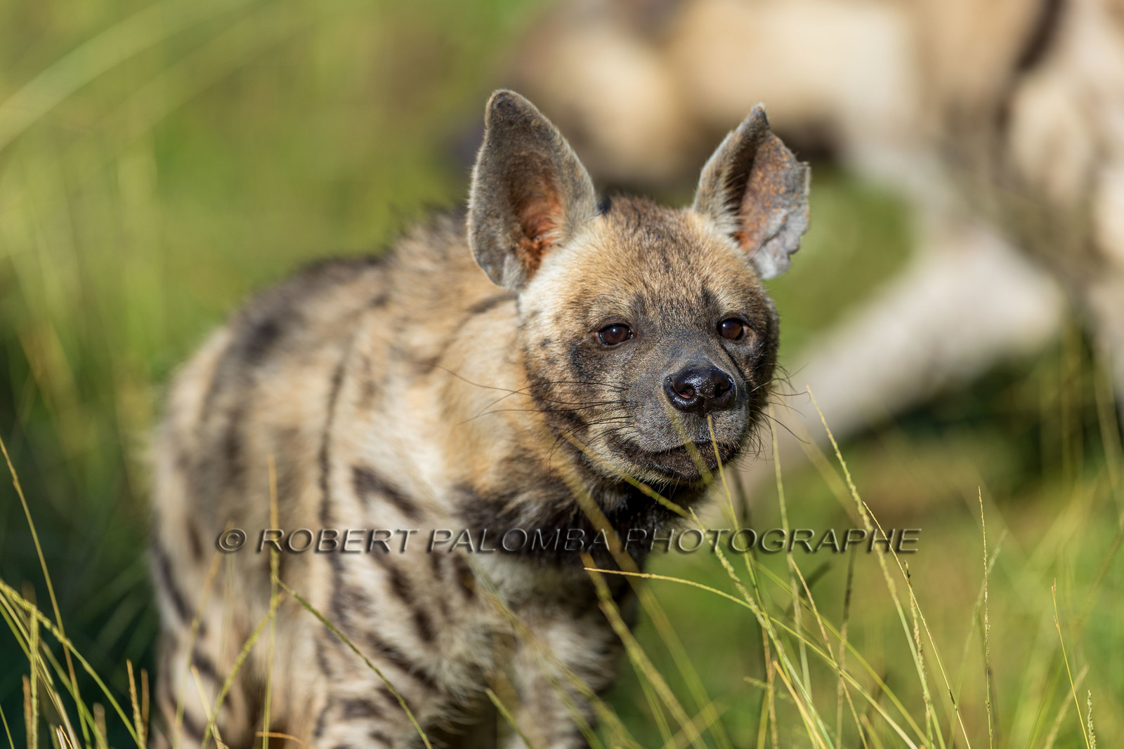 Parc animalier de la Barben