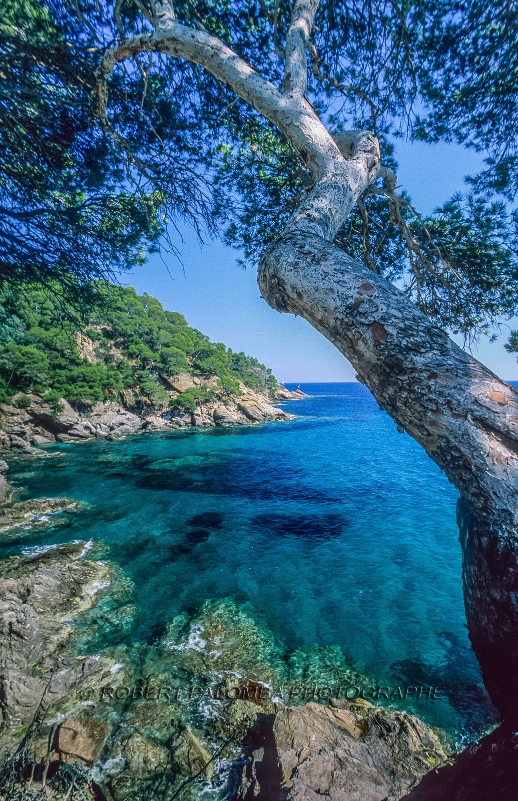 Rayol-Canadel-sur-Mer