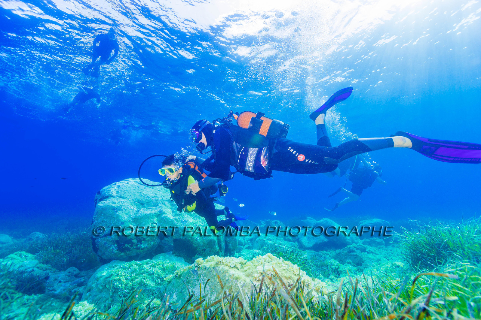 Plongée-sous-marine