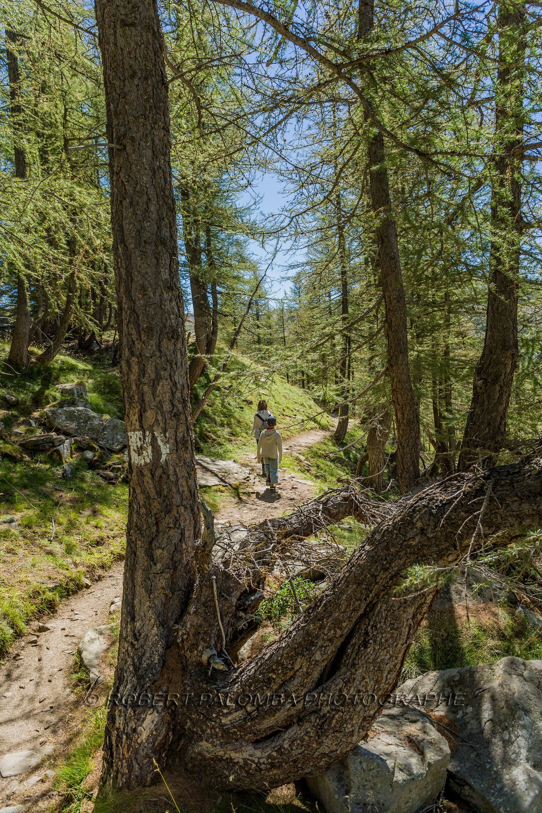 Col de la Petite Cayolle
