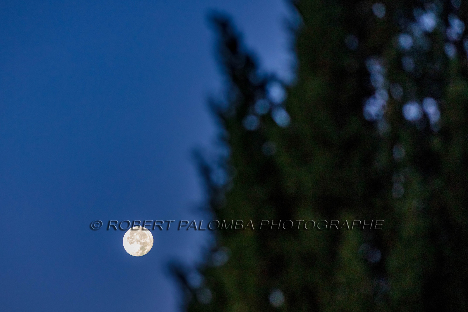 Abbaye de Sainte-Croix