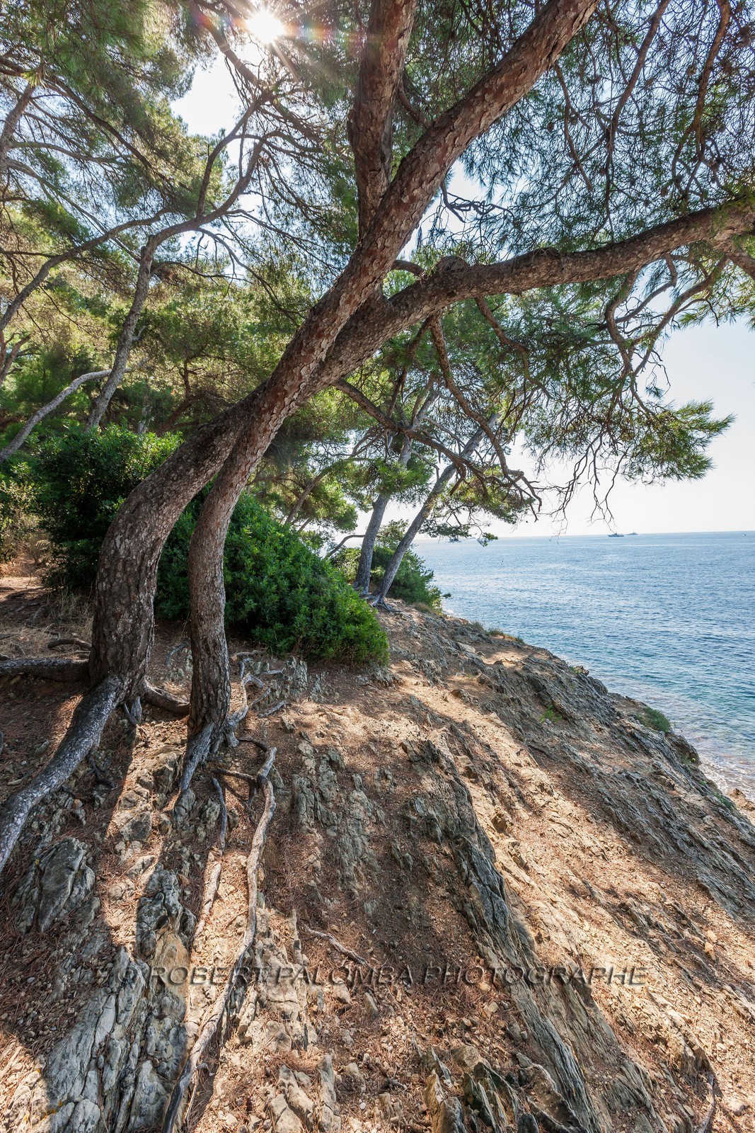 Saint-Jean-Cap-Ferrat