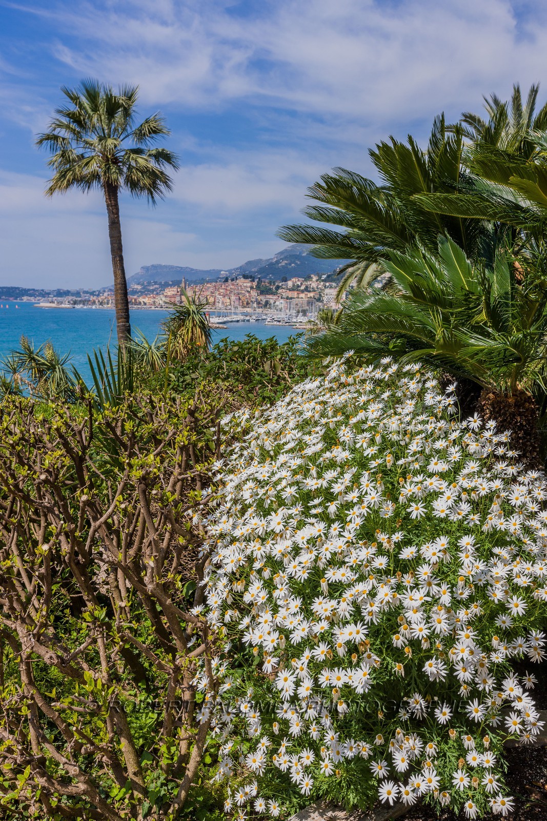 Menton
