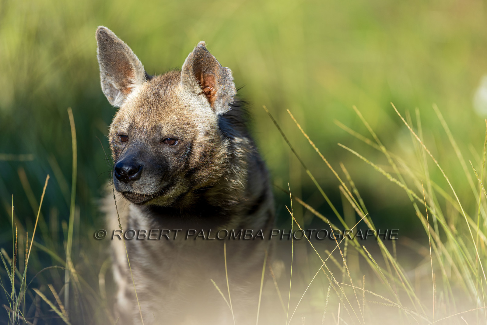 Parc animalier de la Barben