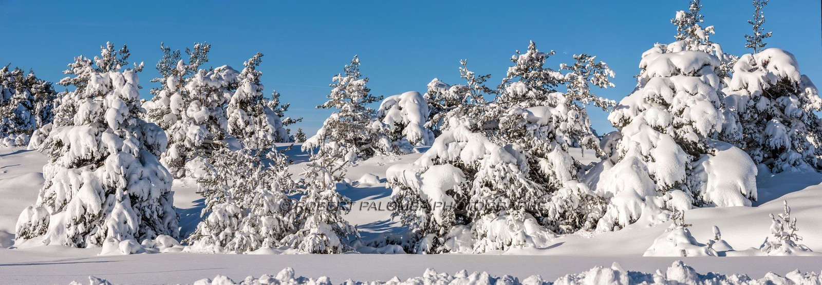 Gréolières-les-Neiges