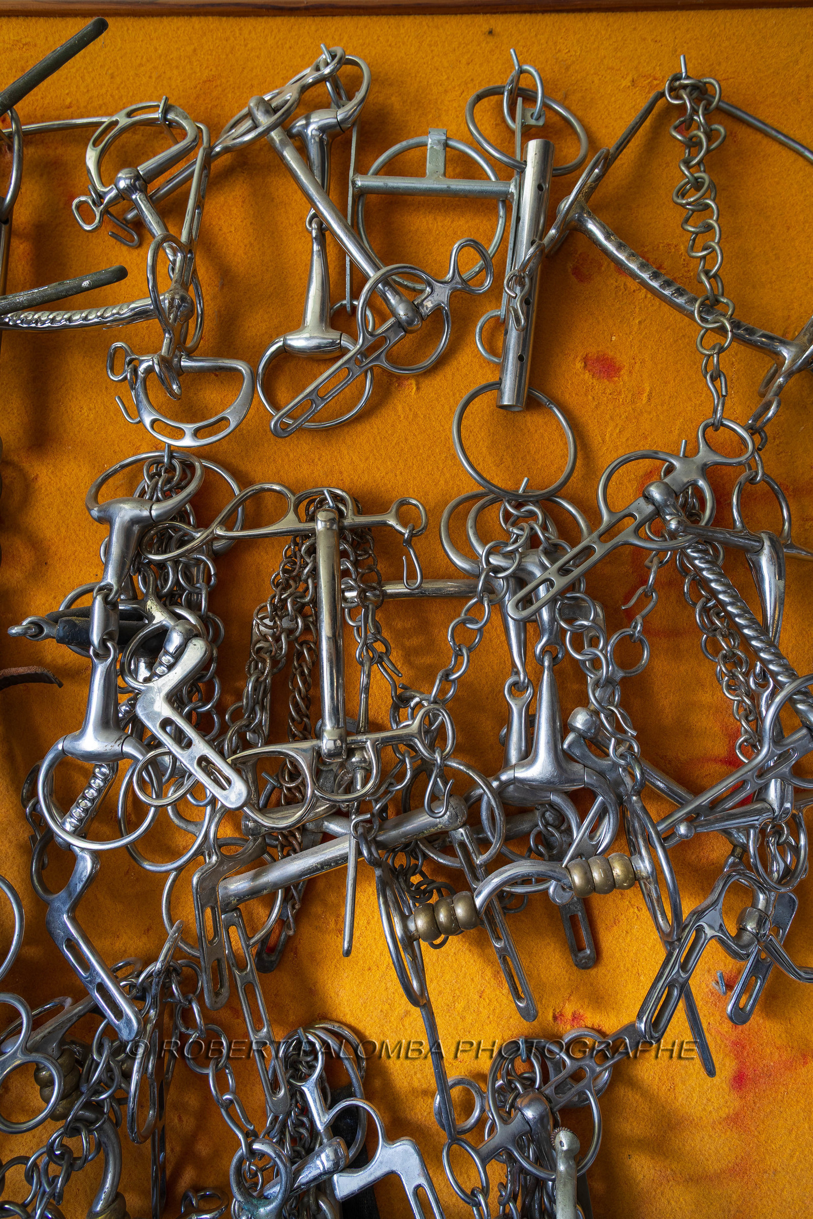 Haras national d'Uzès