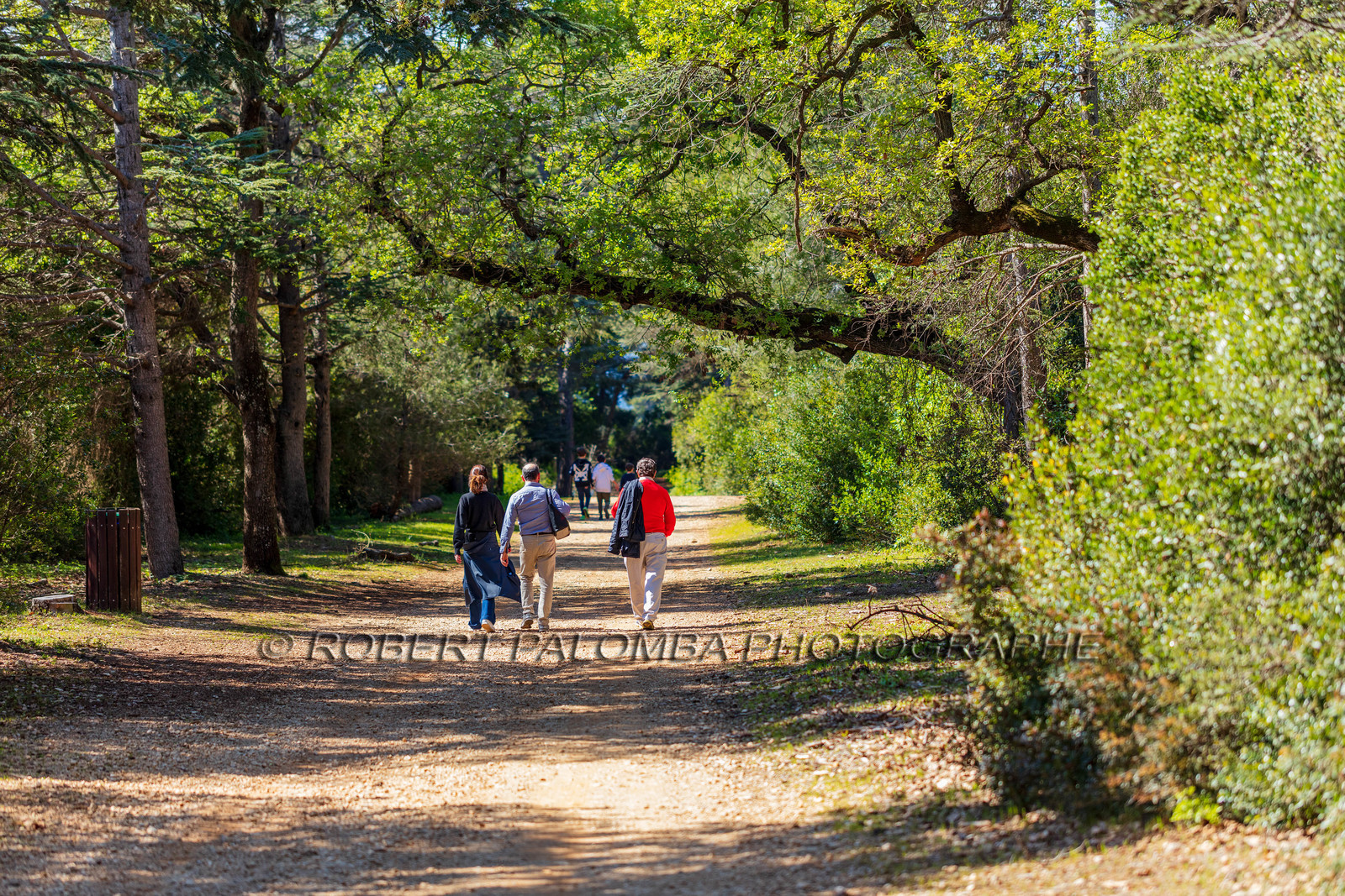Lérins, Sainte-Marguerite