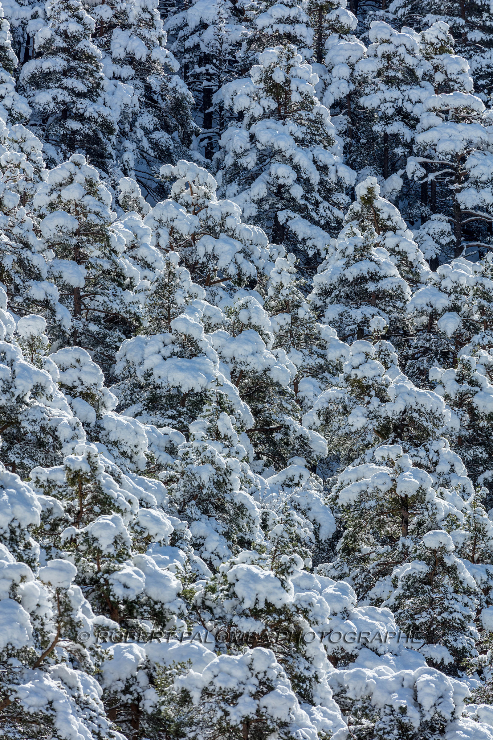La Colle-Saint-Michel