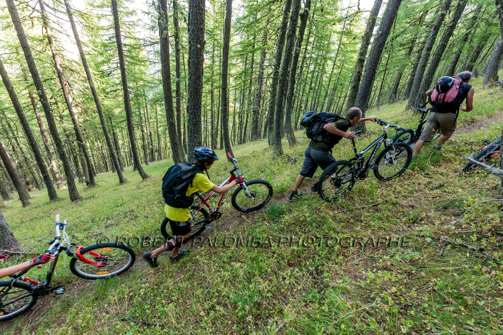 Rando Vtt Lacs de Lignin