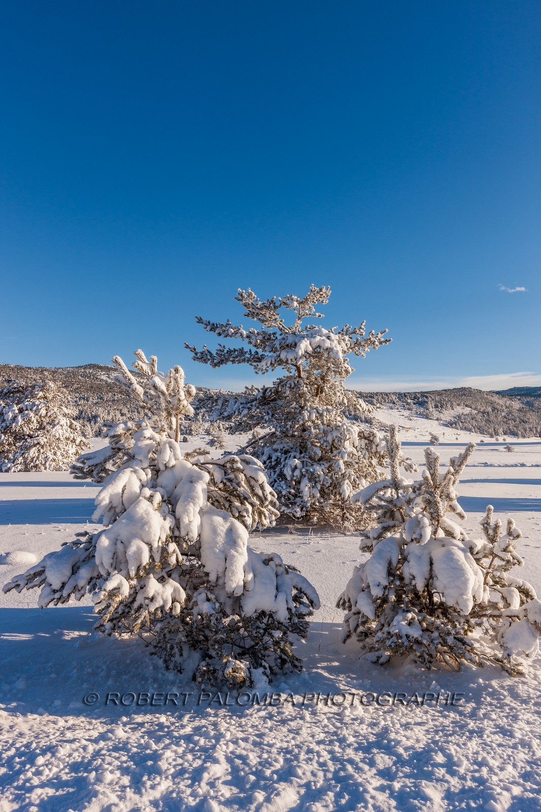 Gréolières-les-Neiges