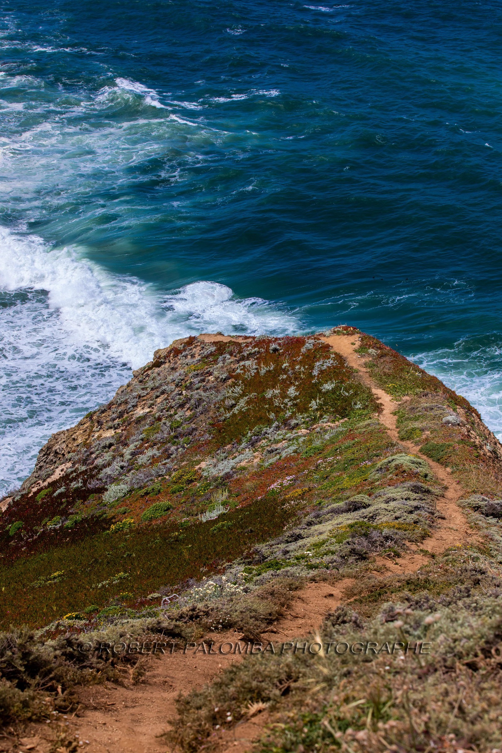 Côte Pacifique de Monterey à San Francisco