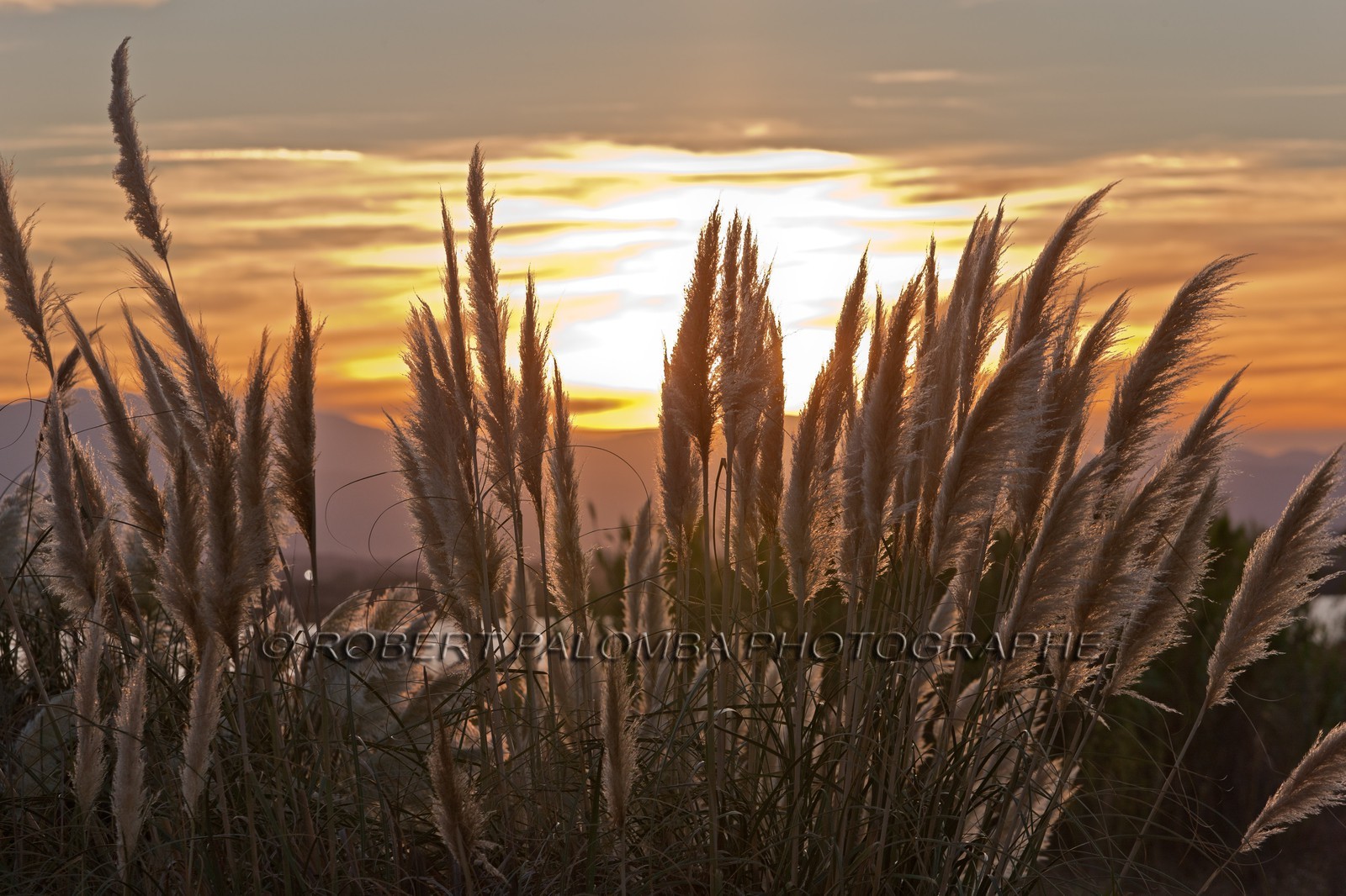 Etang de Canet-en-Roussillon