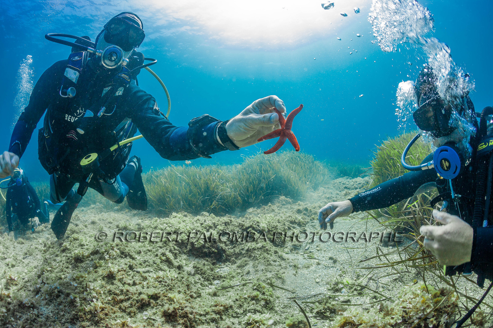 Plongée sous-marine