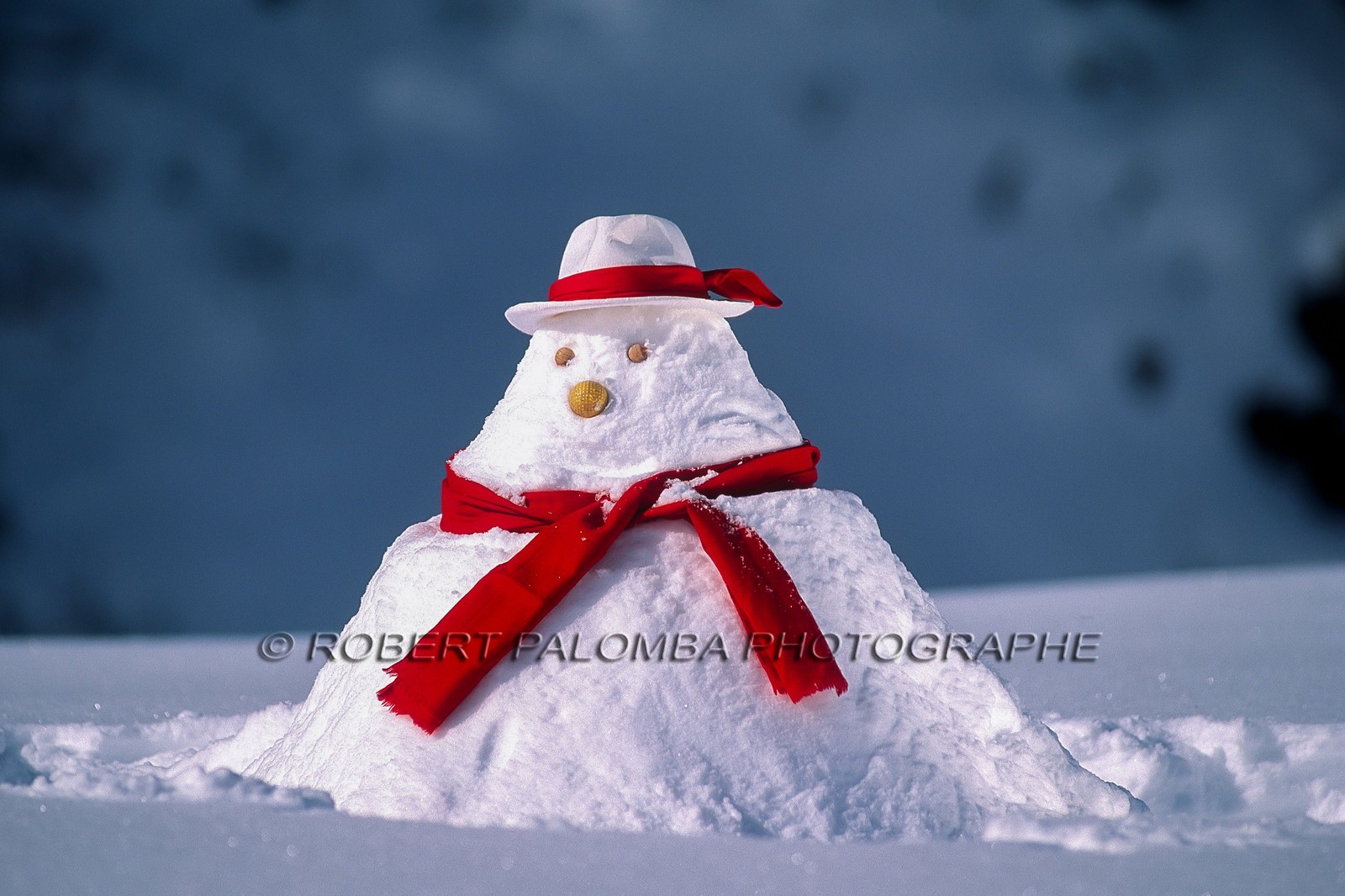 Bonhomme de neige