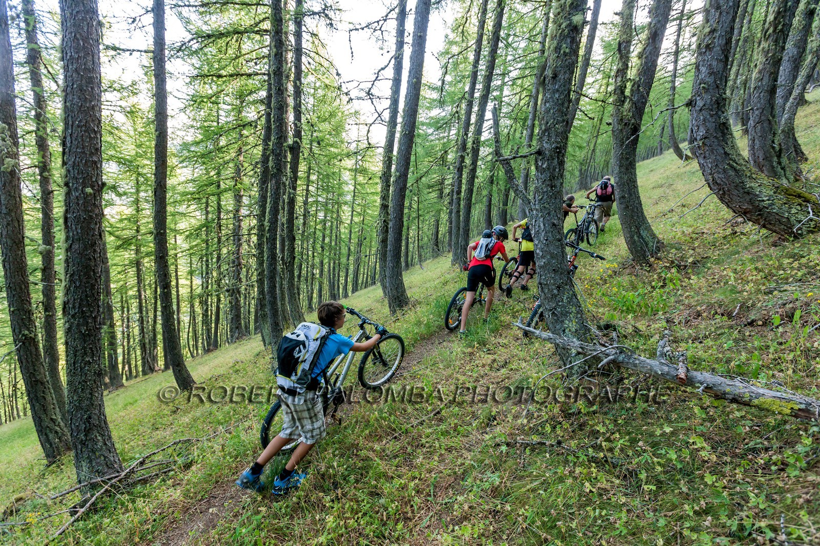 Rando Vtt Lacs de Lignin