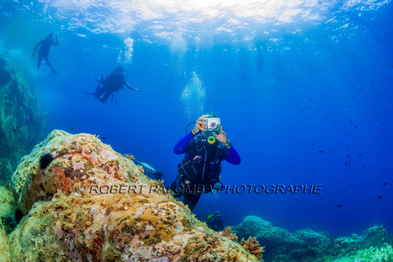 Plongée-sous-marine