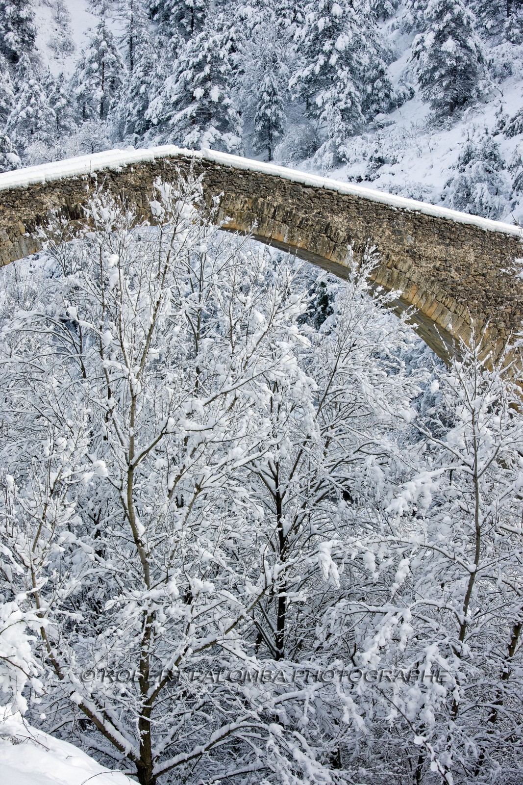 Pont de la Reine Jeanne