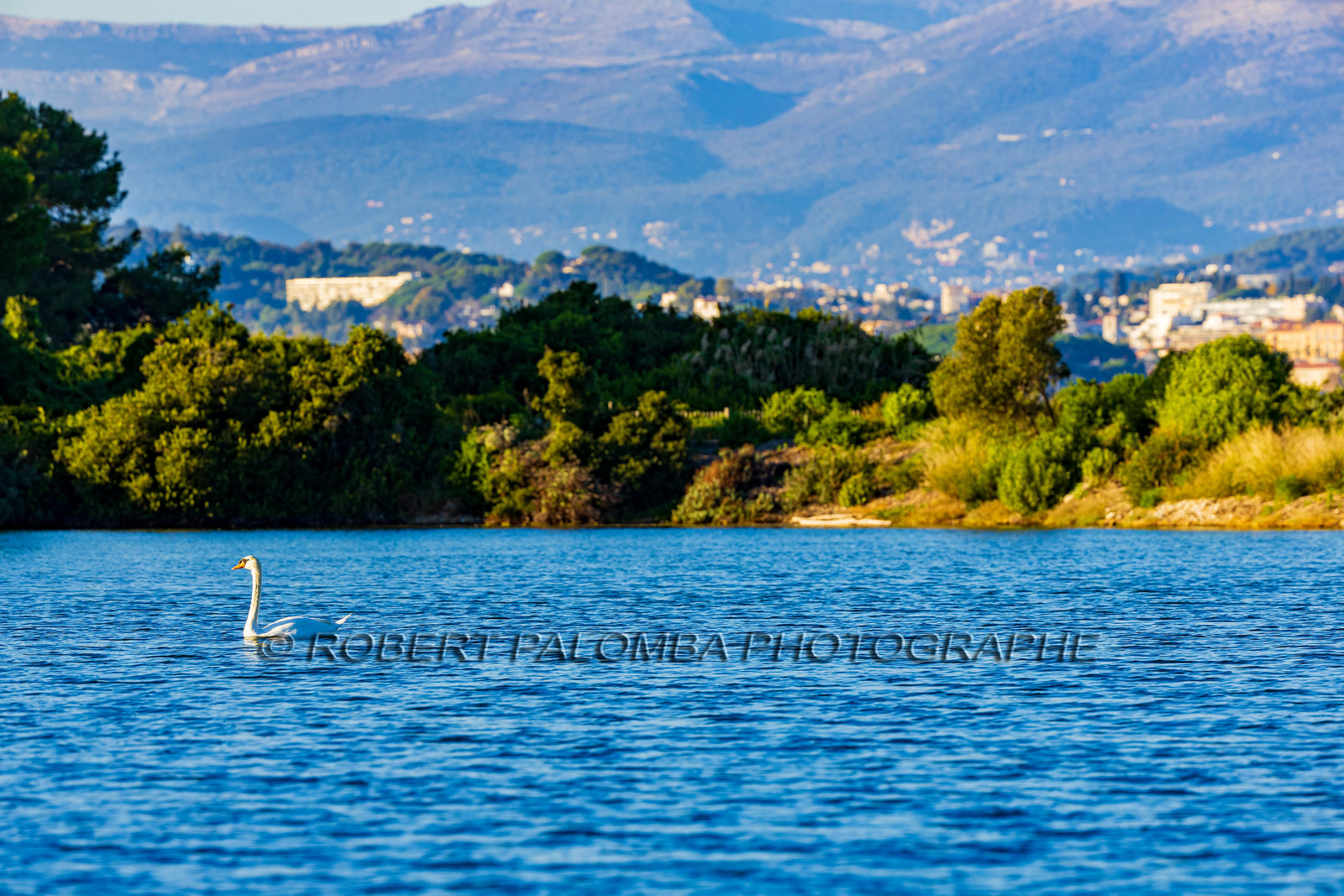 Lérins Sainte Marguerite 2024