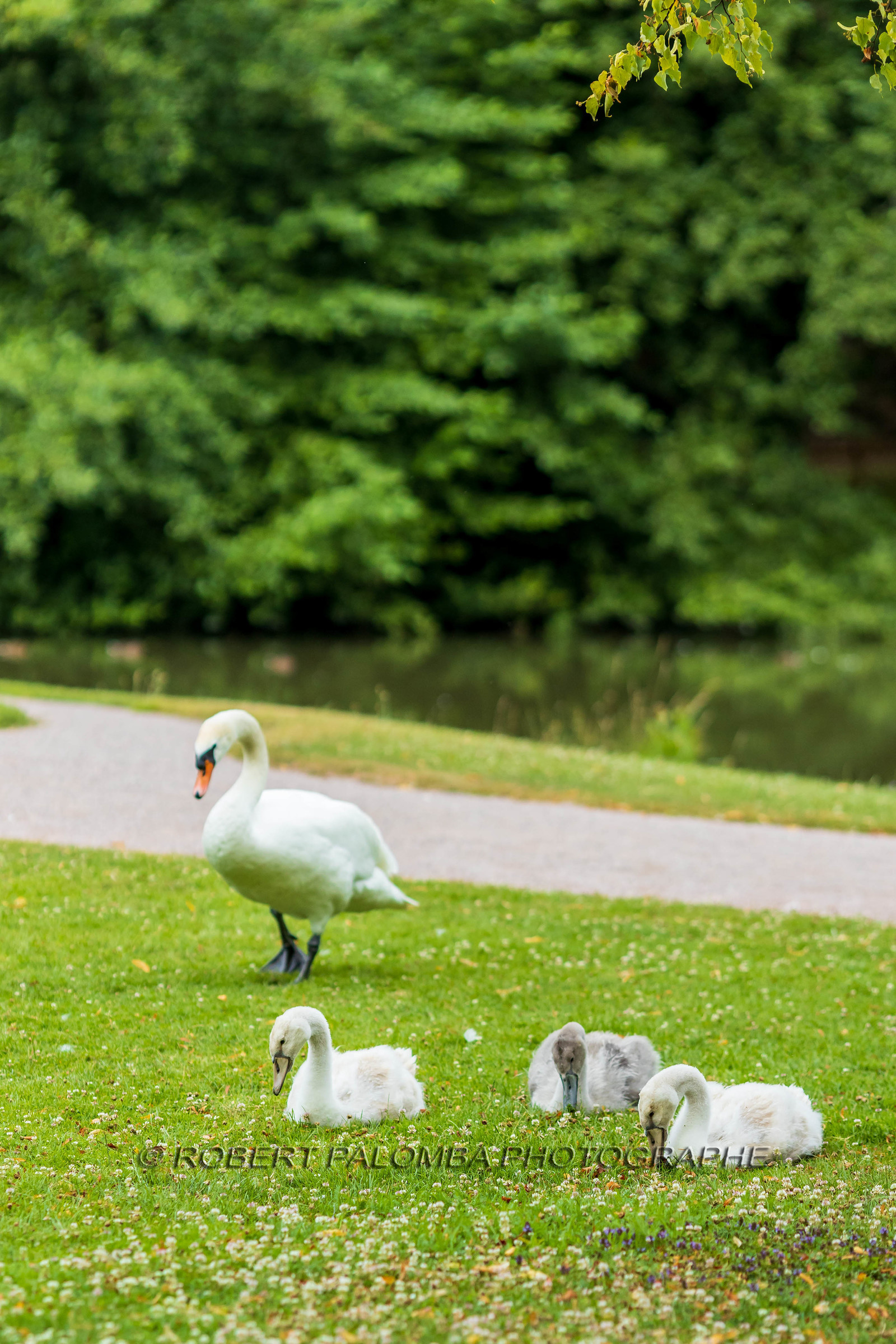 Villa La Florangerie