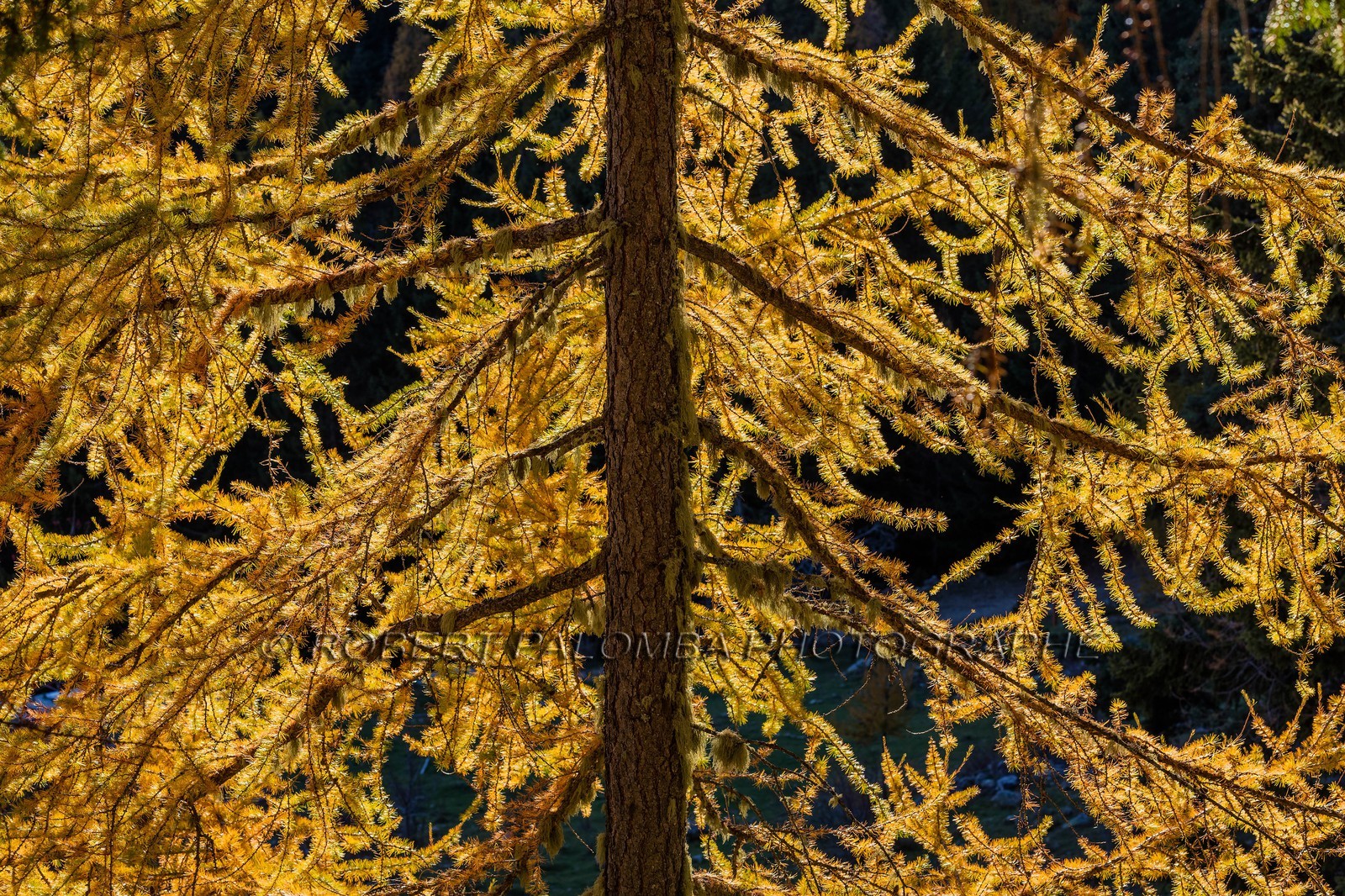 Granges de la Brasque