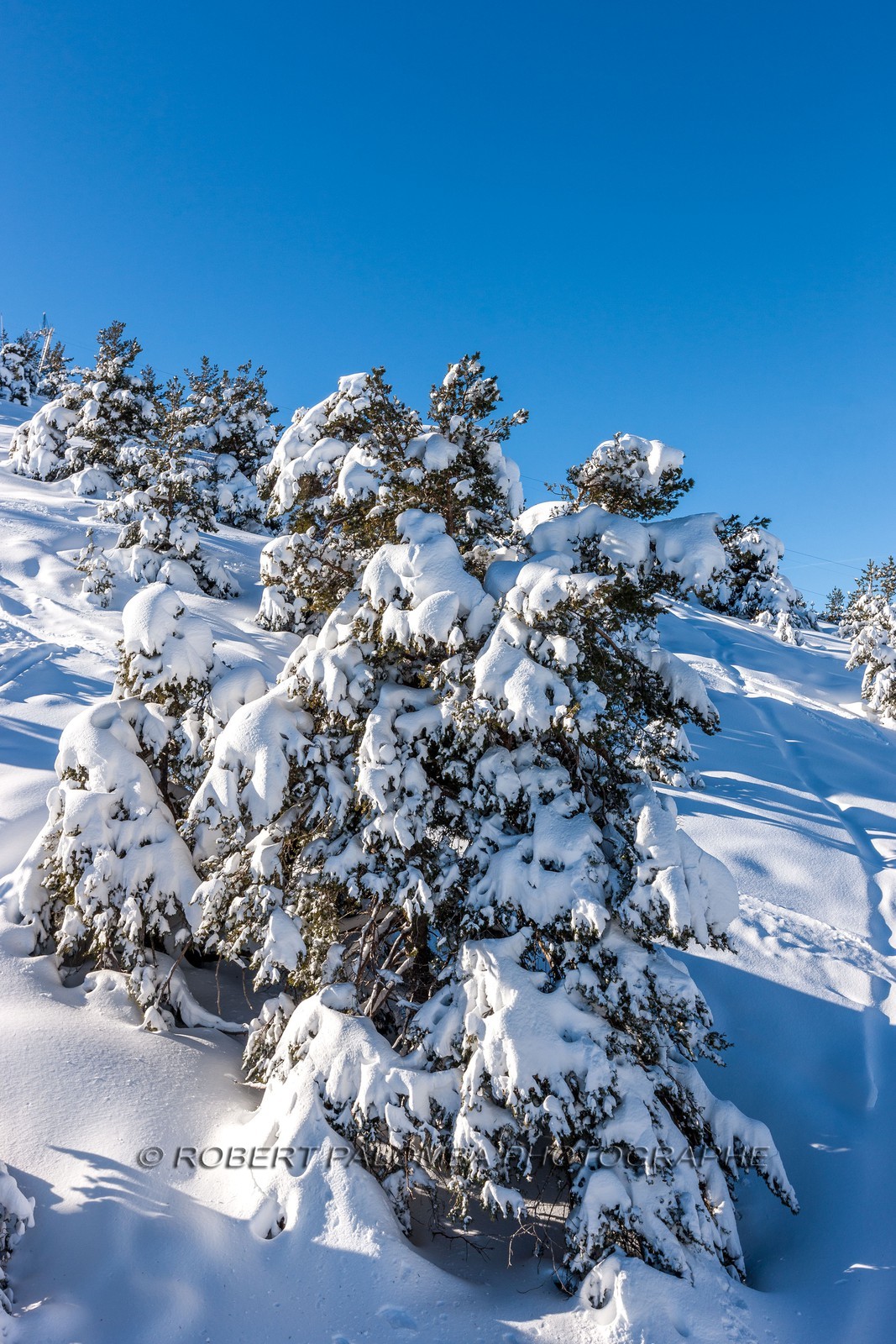 Gréolières-les-Neiges