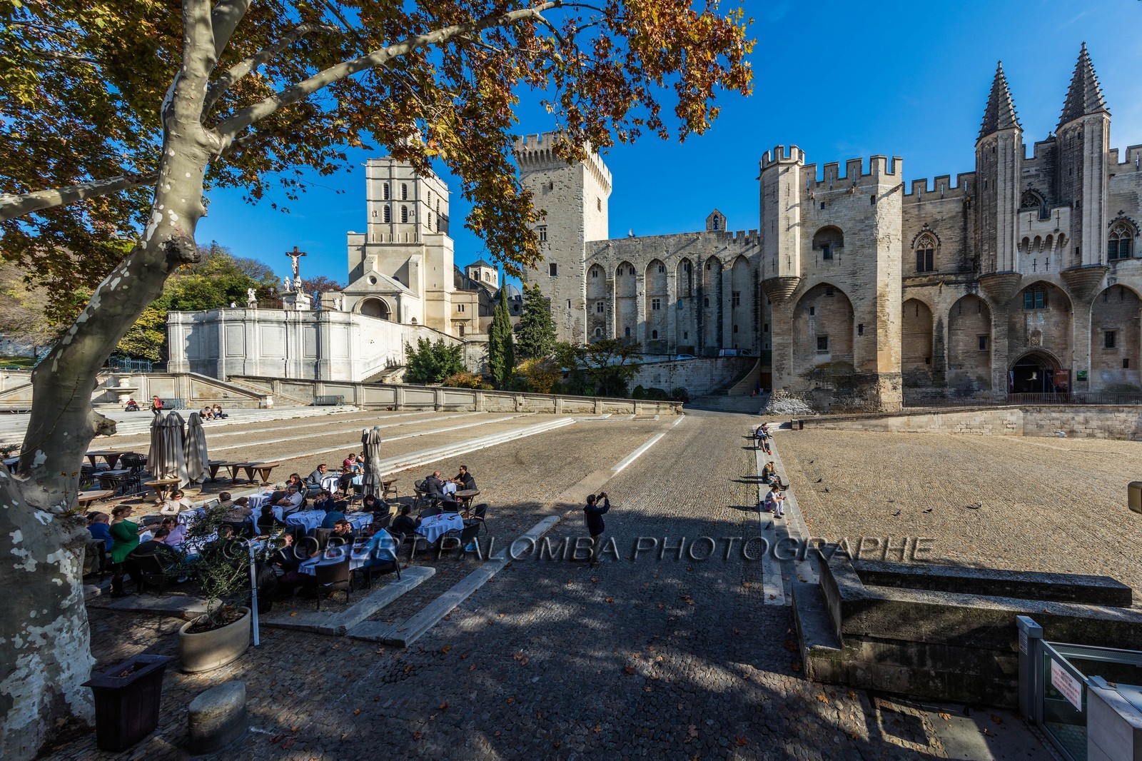 Avignon