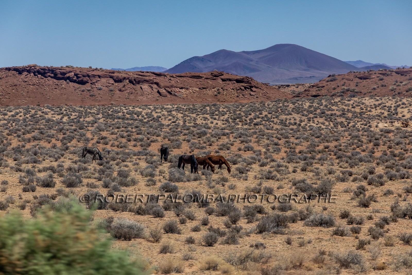 Sur la route en quittant le Grand Canyon